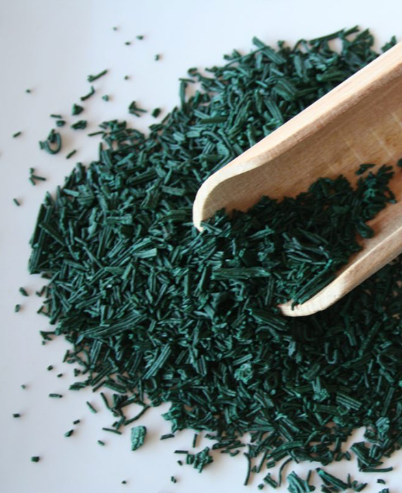 Yellowlab_Akal-Spiruline_Photo